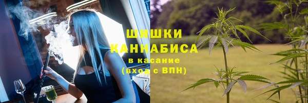 спиды Аркадак