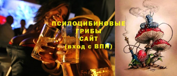 спиды Аркадак